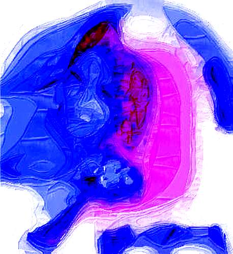 16