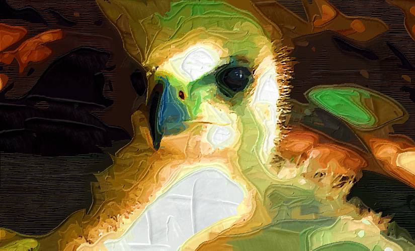 35